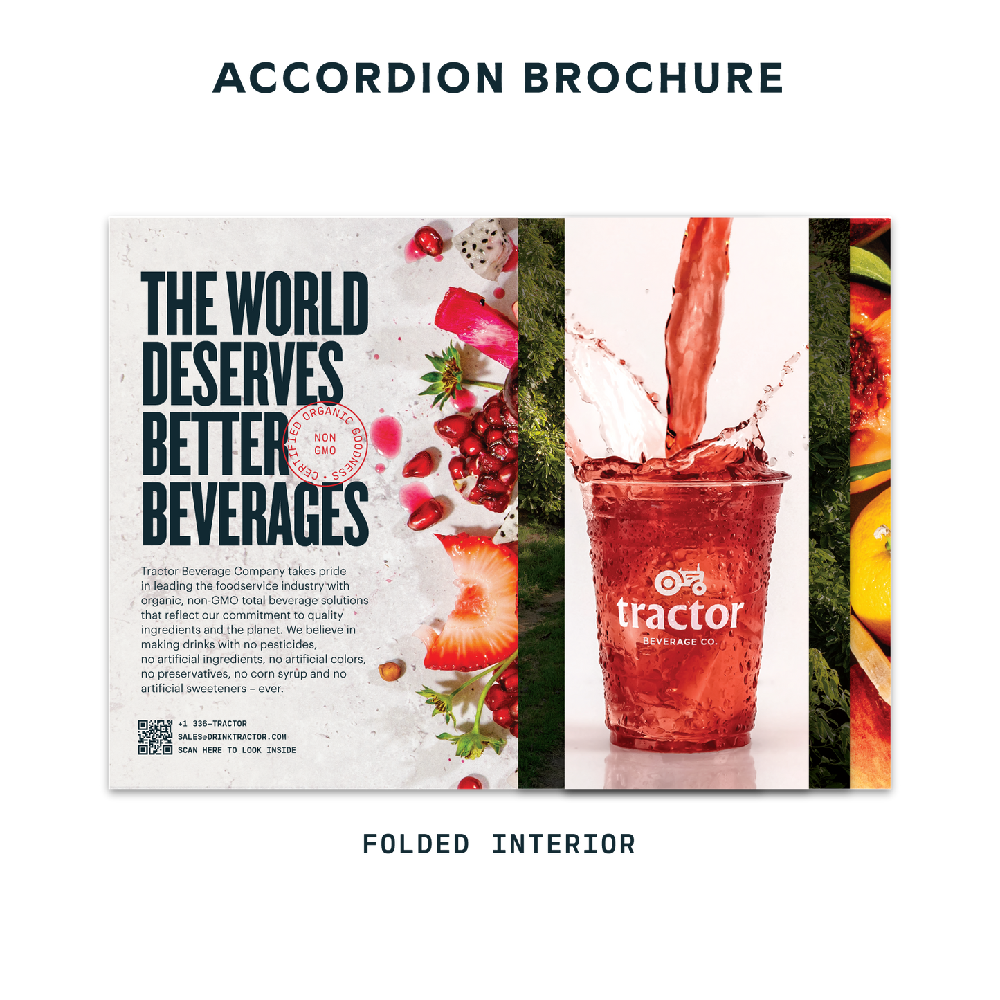 Accordion Brochure