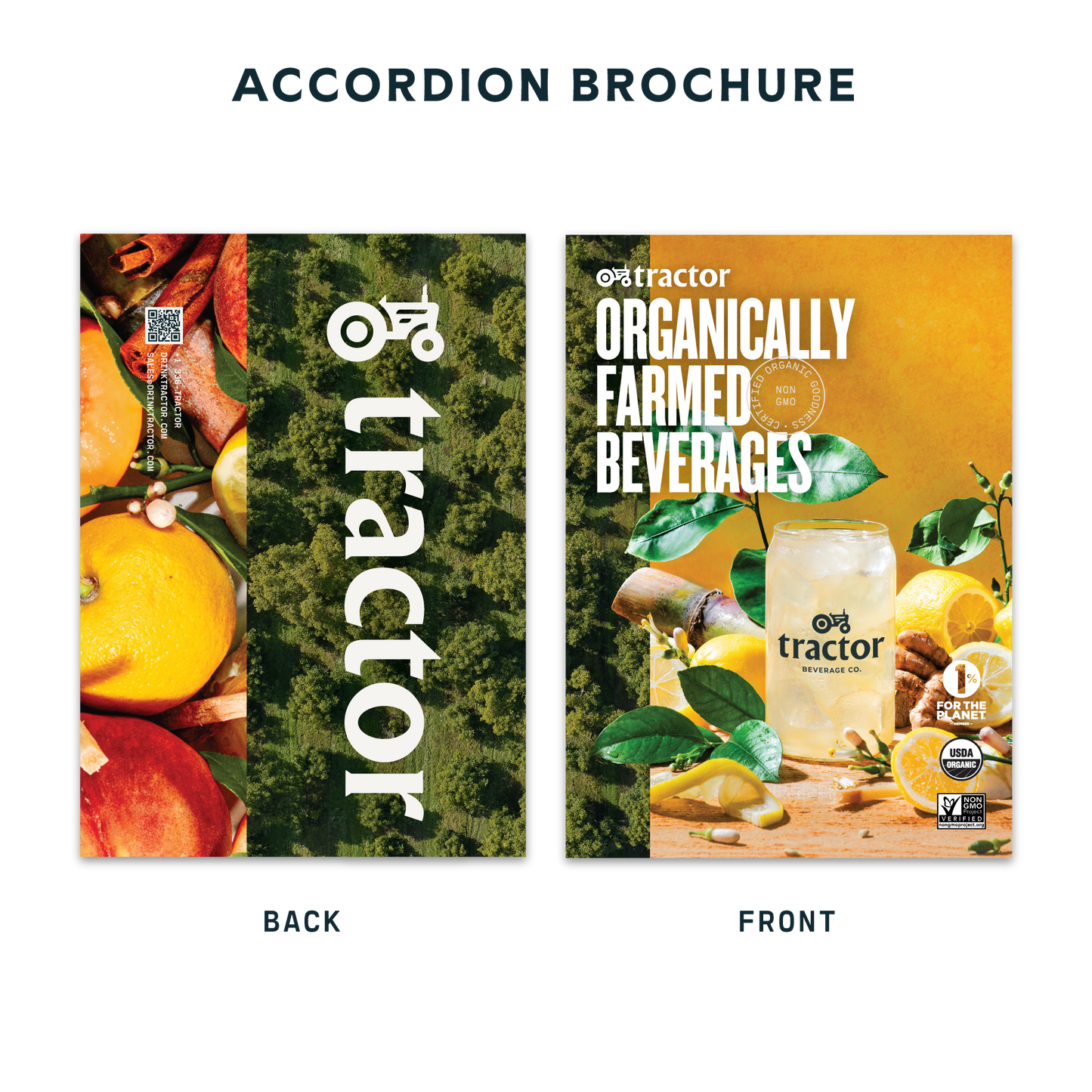 Accordion Brochure