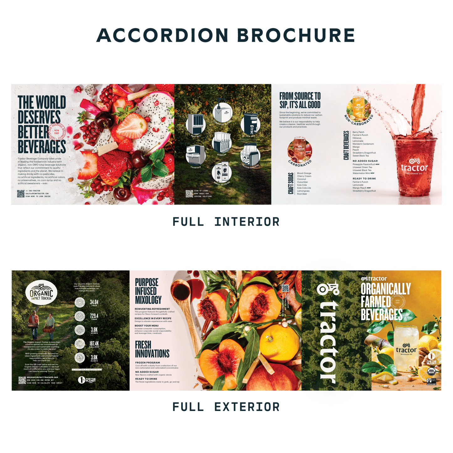 Accordion Brochure