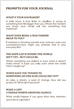 Haymaker Tastemaker Kit