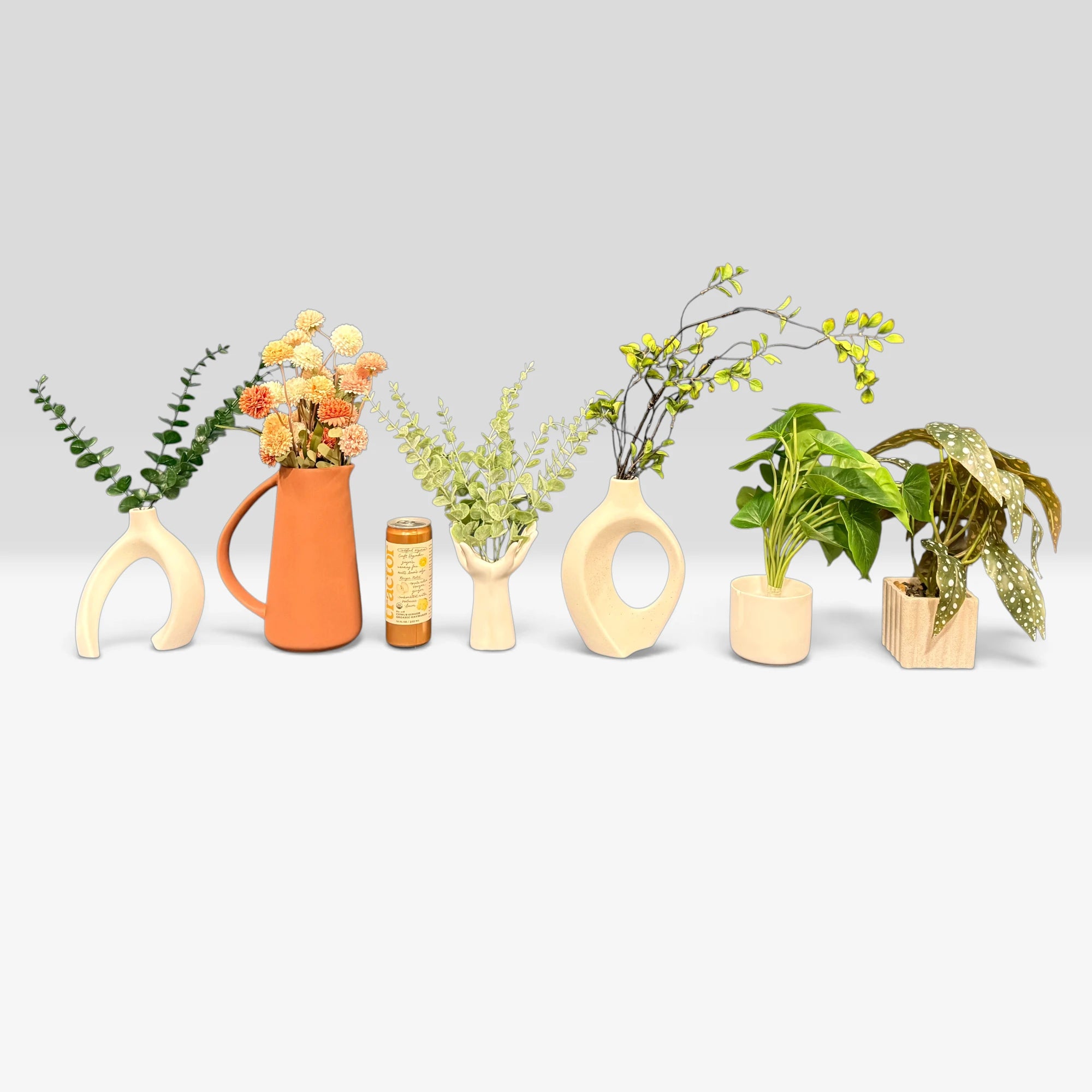 Artificial Plants & Fruit