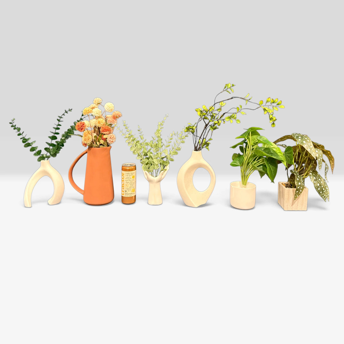 Artificial Plants & Fruit