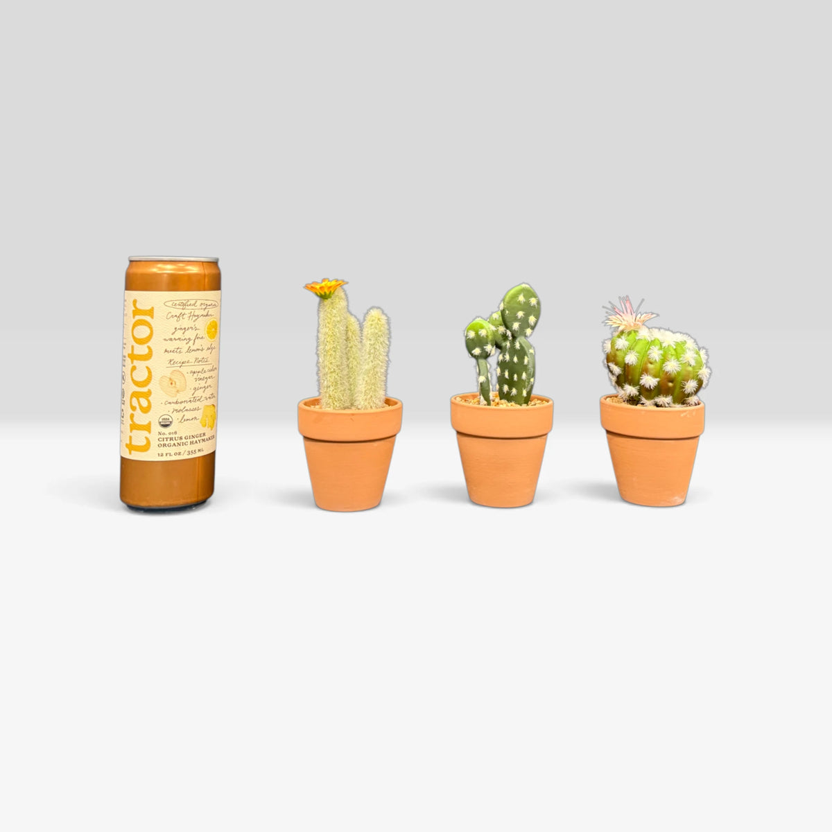 Artificial Plants & Fruit