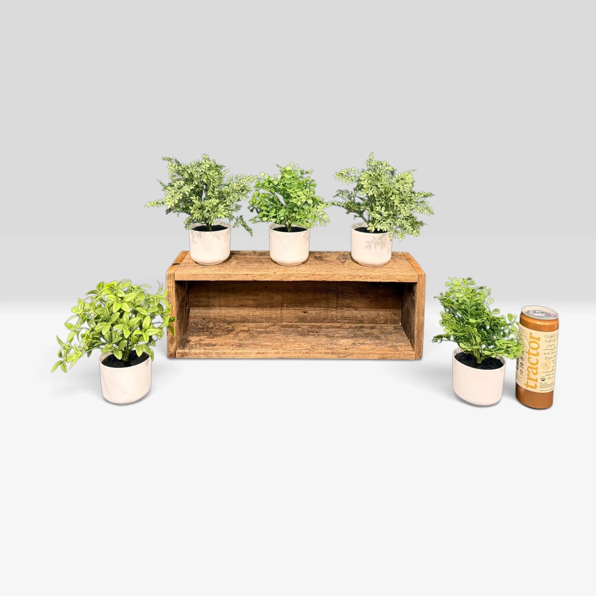Artificial Plants & Fruit