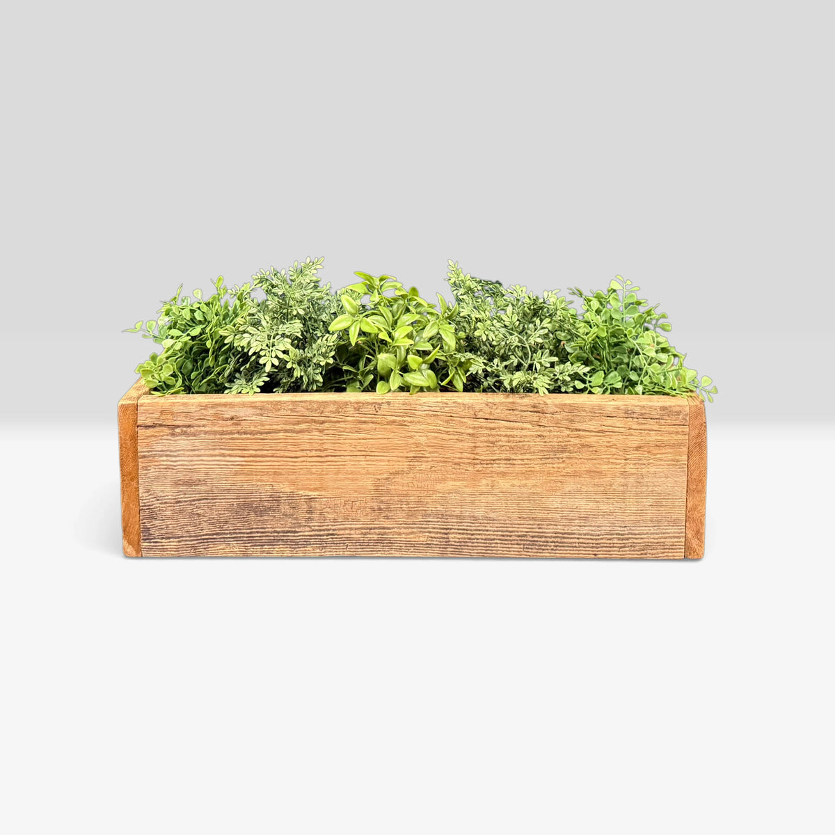 Artificial Plants & Fruit
